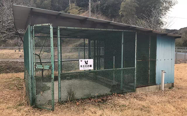 長南東小学校スタジオ　ネズミ小屋